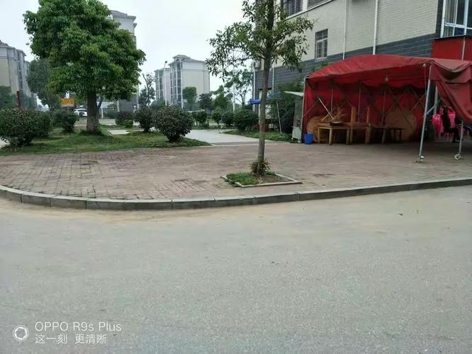 精诚服务，美好共建——菱泊湖小区物业管理服务处日常现场服务纪实